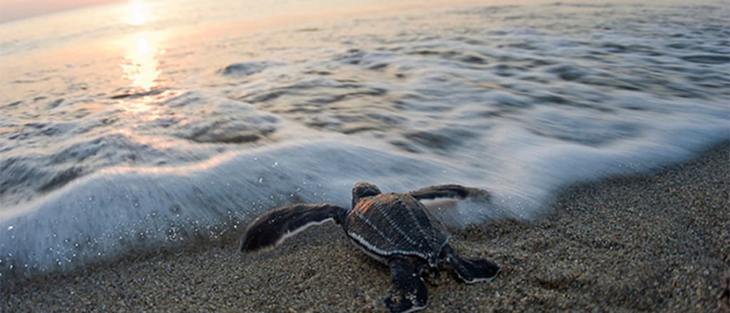 Vero Beach, Florida