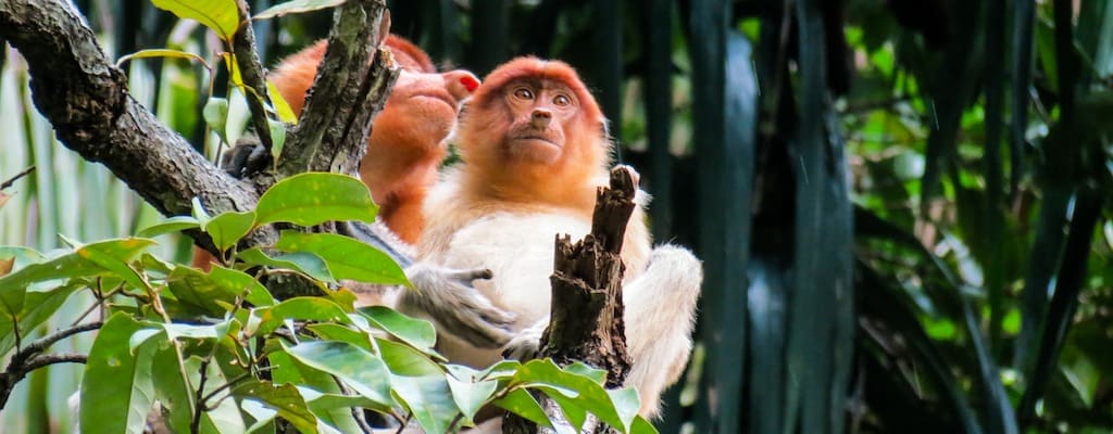 Bako National Park