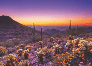 Sonoran Desert, Sonoran Desert, Photo Courtesy of Scottsdale Convention & Visitors Bureau