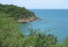 Guanica State Forest