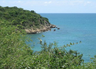 Guanica State Forest