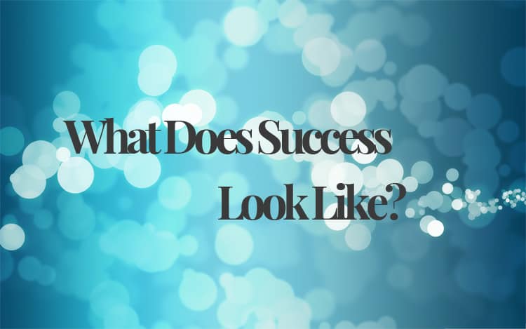 What does success look like-professional development