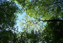 carbon reduction, meetings