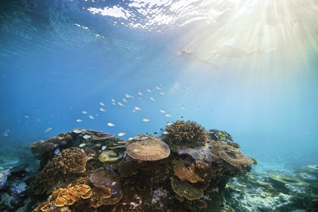 Great Barrier Reef