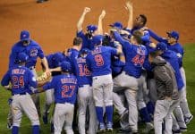 Chicago Cubs, 2016 World Series, events curse, Chicago Cubs tips