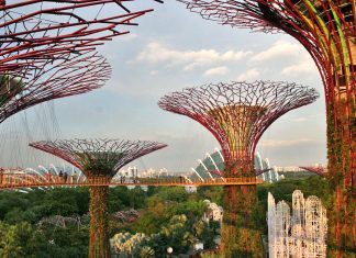 Gardens by the Bay, Singapore, rooftop venues, rooftop events, Asia, Asia Pacific