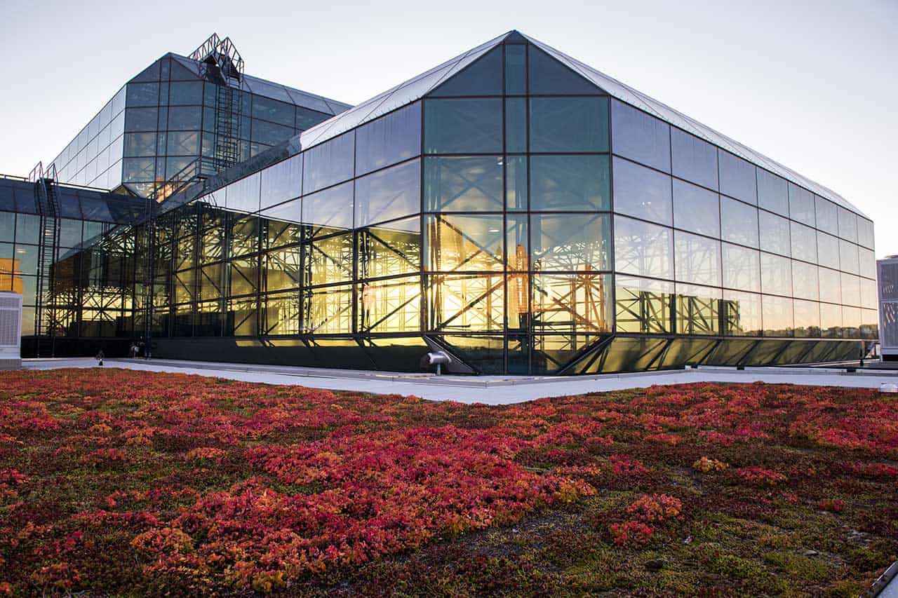 Javits Center, meetings