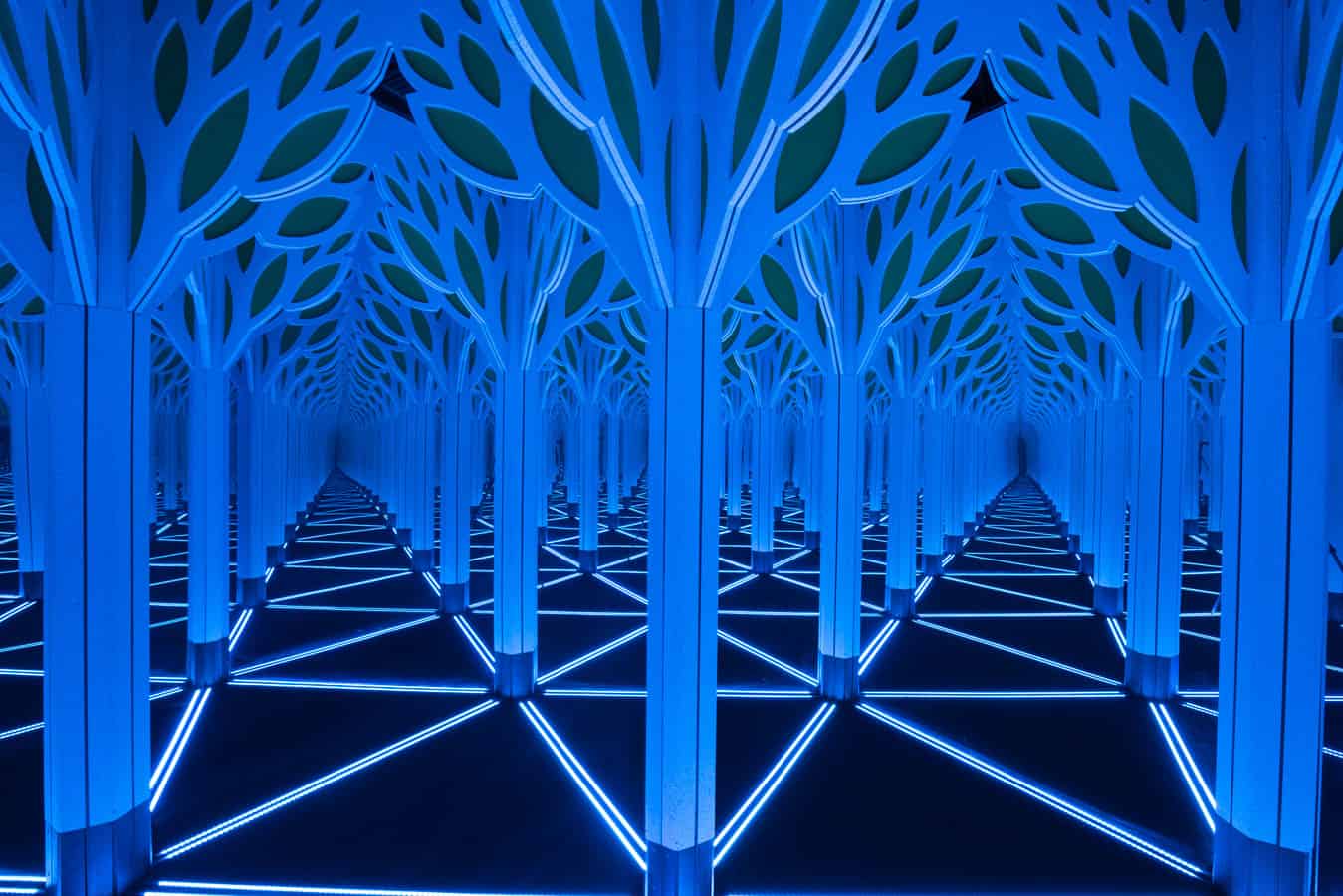 Numbers-in-Nature-Mirror-Maze-and-the-Museum-of-Science-and-Industry-Chicago
