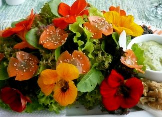 edible flowers, meetings