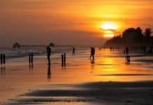 red tide, Florida