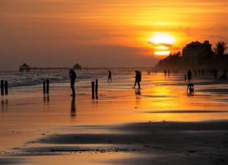 Red Tide: Florida Answers the Call red tide, Florida