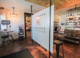 4 Destinations Where Cannabis Tourism Is a Thing cannabis, cannabis tourism, marijuana, Colorado, California, Oregon, Washington