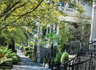 Innovation Means Preservation in Savannah Savannah