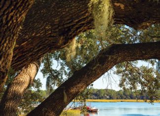 Hilton Head Island