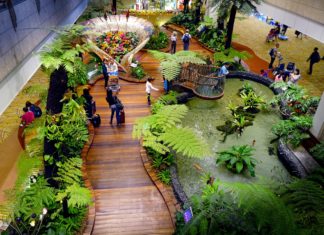 The World’s Top Airport of 2019: Changi Cnangi, meetings