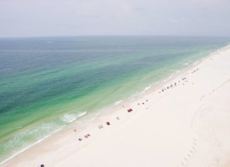 A Seaworthy Reason to Go Coastal Gulf Shores