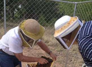 Hyatt Regency Tamaya has two new beehives.