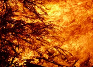 Latest on Australia Fires Australia fires
