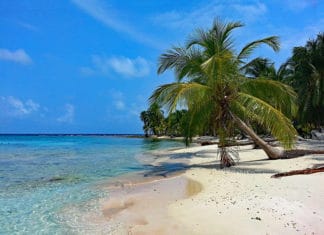 Caribbean and COVID-19