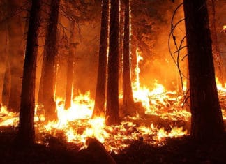 California Fires Rage fires