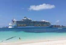 Cruise lines ready to resume operations