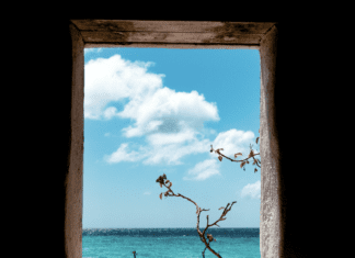 Caribbean COVID Entry Requirements Easing Caribbean COVID Entry Requirements