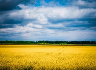 Ukraine: 10 Ways to Help Ukraine