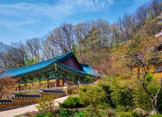 Chance to Win a $200 Gift Card! South Korea