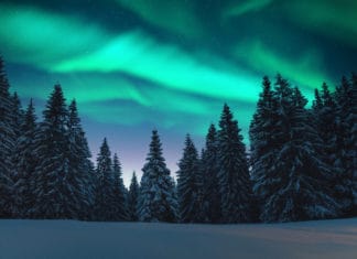 5 Bucket List Canadian Incentive Experiences