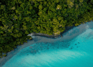 Discover Australia’s Hat Trick – Nature, Wildlife and Coastal Charm Australia