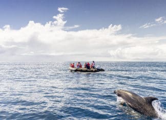 Hurtigruten