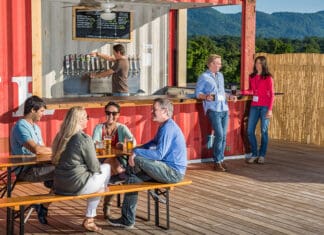Guide to Asheville’s Beer Scene Asheville
