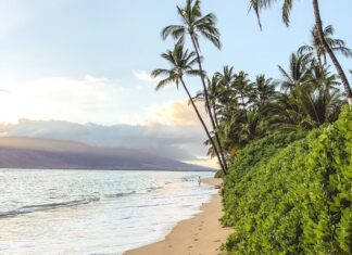 Maui