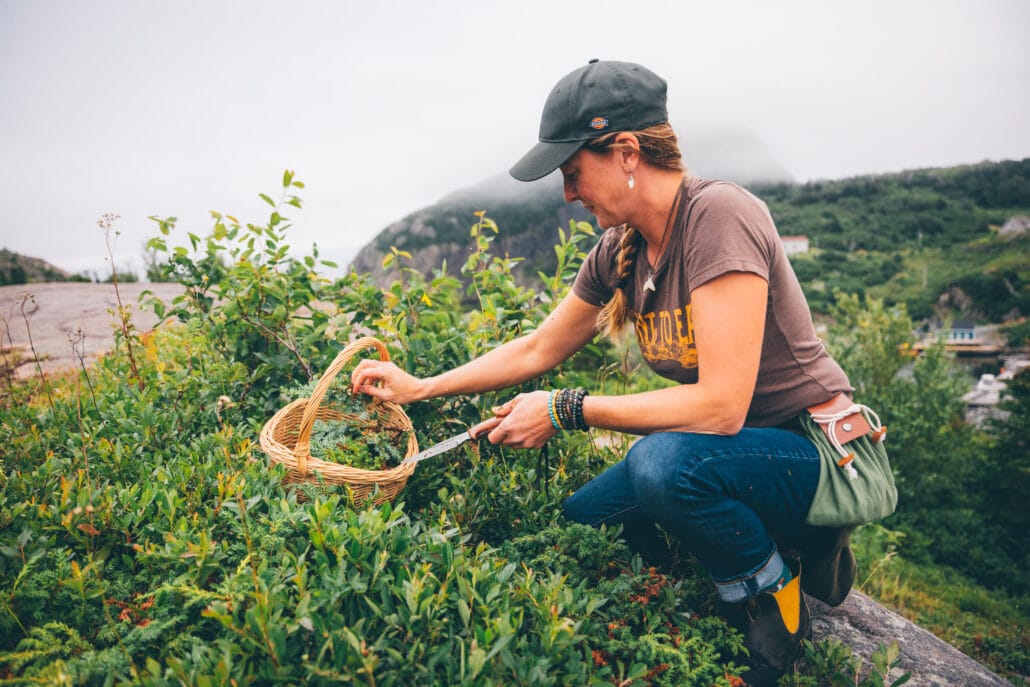 Among unique Canadian incentive experiences: Foraging with Lori McCarthy in St. John's, Newfoundland.