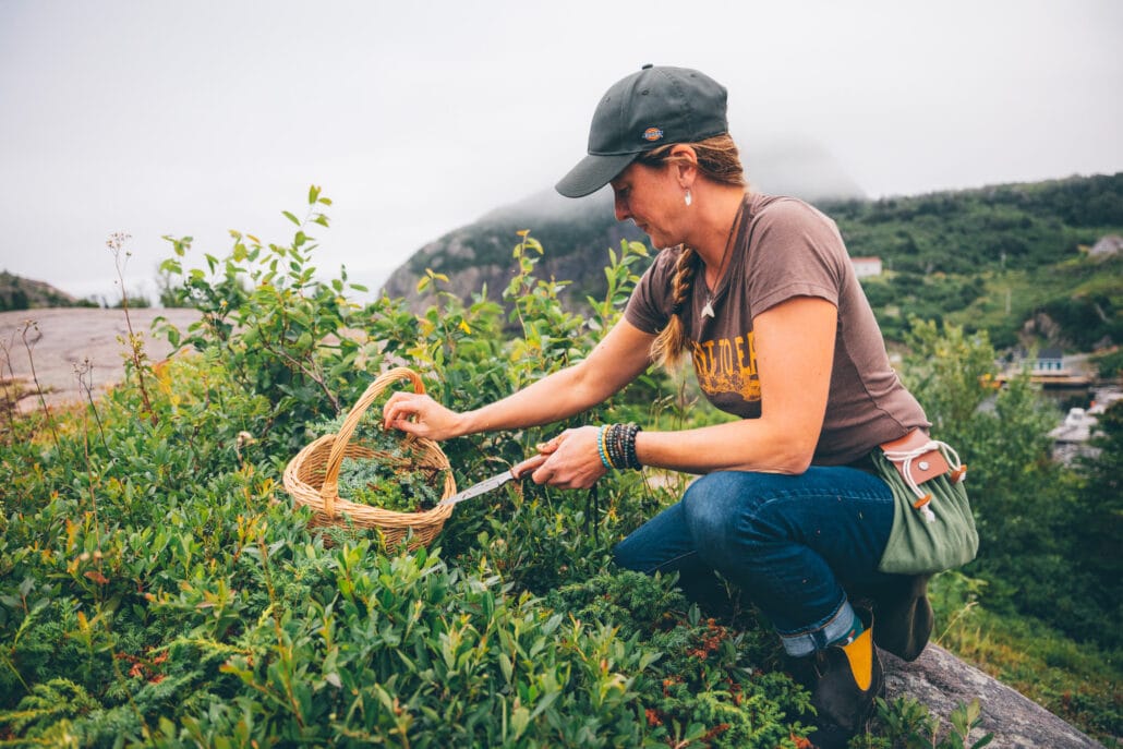 Among unique Canadian incentive experiences: Foraging with Lori McCarthy in St. John's, Newfoundland.