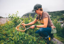 Among unique Canadian incentive experiences: Foraging with Lori McCarthy in St. John's, Newfoundland.