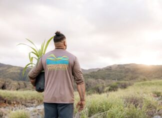 West Maui to Reopen for Tourism Nov. 1, Cancels Phased Opening Plan