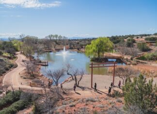 Sedona Mago: Journey to Yourself