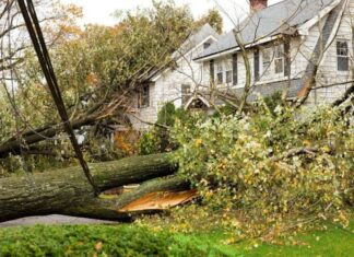 Update: Extent of Helene’s Damage