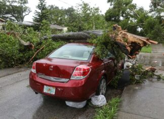 Florida Begins Long Recovery Following Milton & Helene