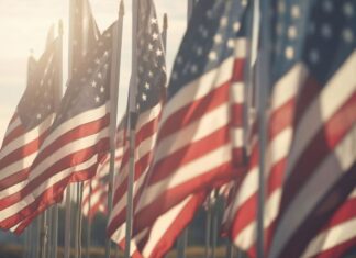 Veterans Day Around the Nation