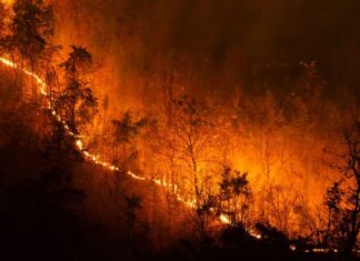 LA Wildfires Continue Destructive Path