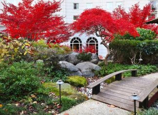 Hyatt Creates New Wellbeing Advisory Board