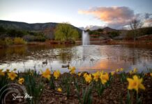 Sedona Mago Center for Well-Being and Retreat in Sedona, Ariz., provides an ideal setting for corporate retreats looking for a meaningful and impactful experience.