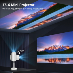 Mini Projector