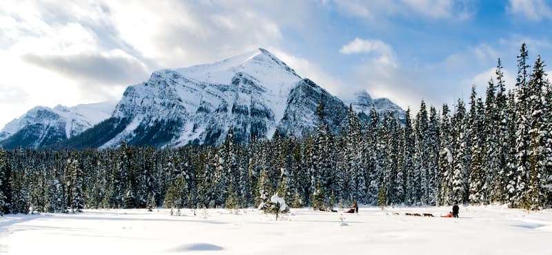 Dogsledding, the Great Divide Trail, in Banff.