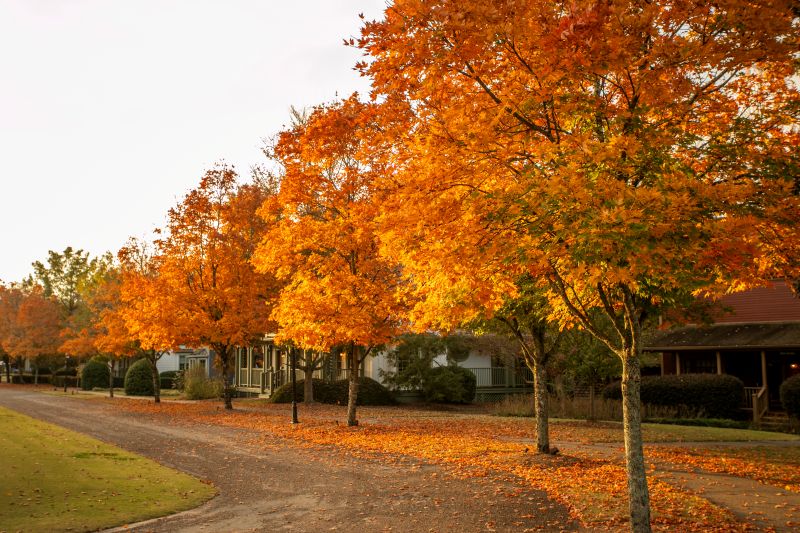 Fall foliage at Barnsley Resort set in the Georgia Blue Ridge Mountains.