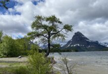 On Location: Whitefish, Montana