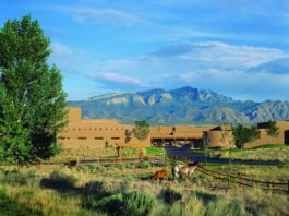 Planner Promotions and Southwest Serenity at Hyatt Regency Tamaya Hyatt Regency Tamaya offers a special anniversary promotion for planners, and the option for a full buyout.