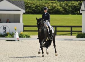 World Equestrian Center